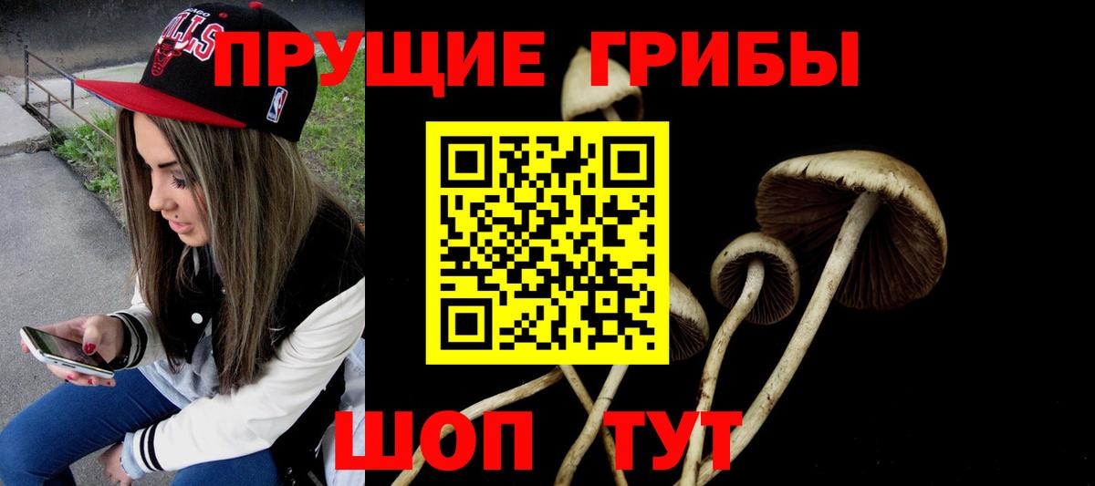 Шатура  Псилоцибиновые грибы GOLDEN TEACHER  Вход с VPN  Галлюциногенные грибы MAGIC MUSHROOMS 