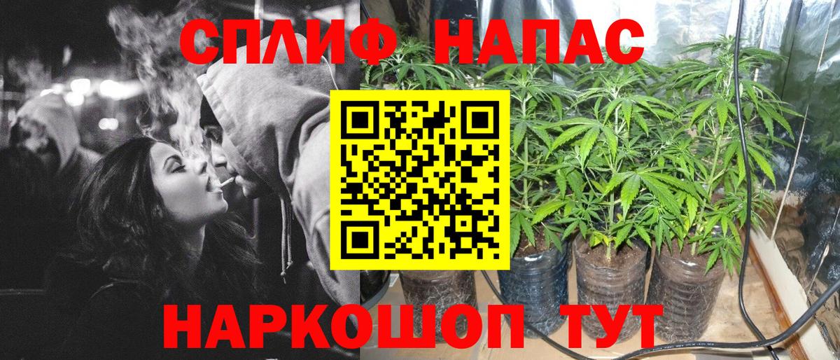 Конопля SATIVA & INDICA Шатура